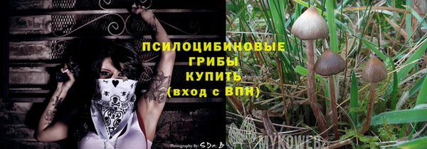 меф Осинники